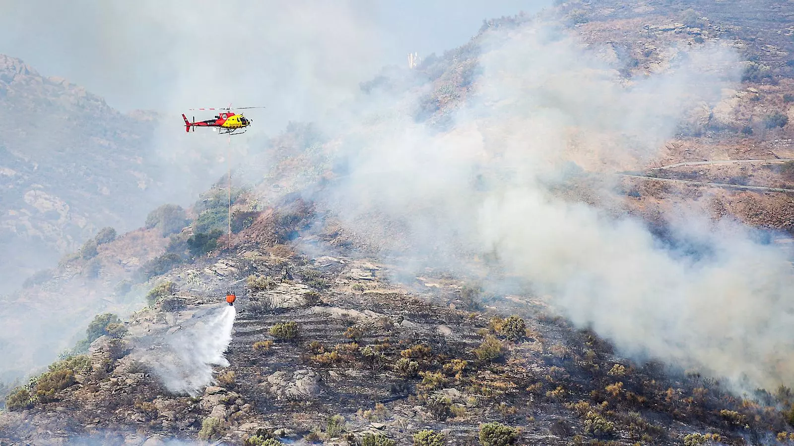 Incendios como el del verano pasado al Puerto de la Selva pueden ser cada vez más frecuentes en un escenario de calentamiento global.