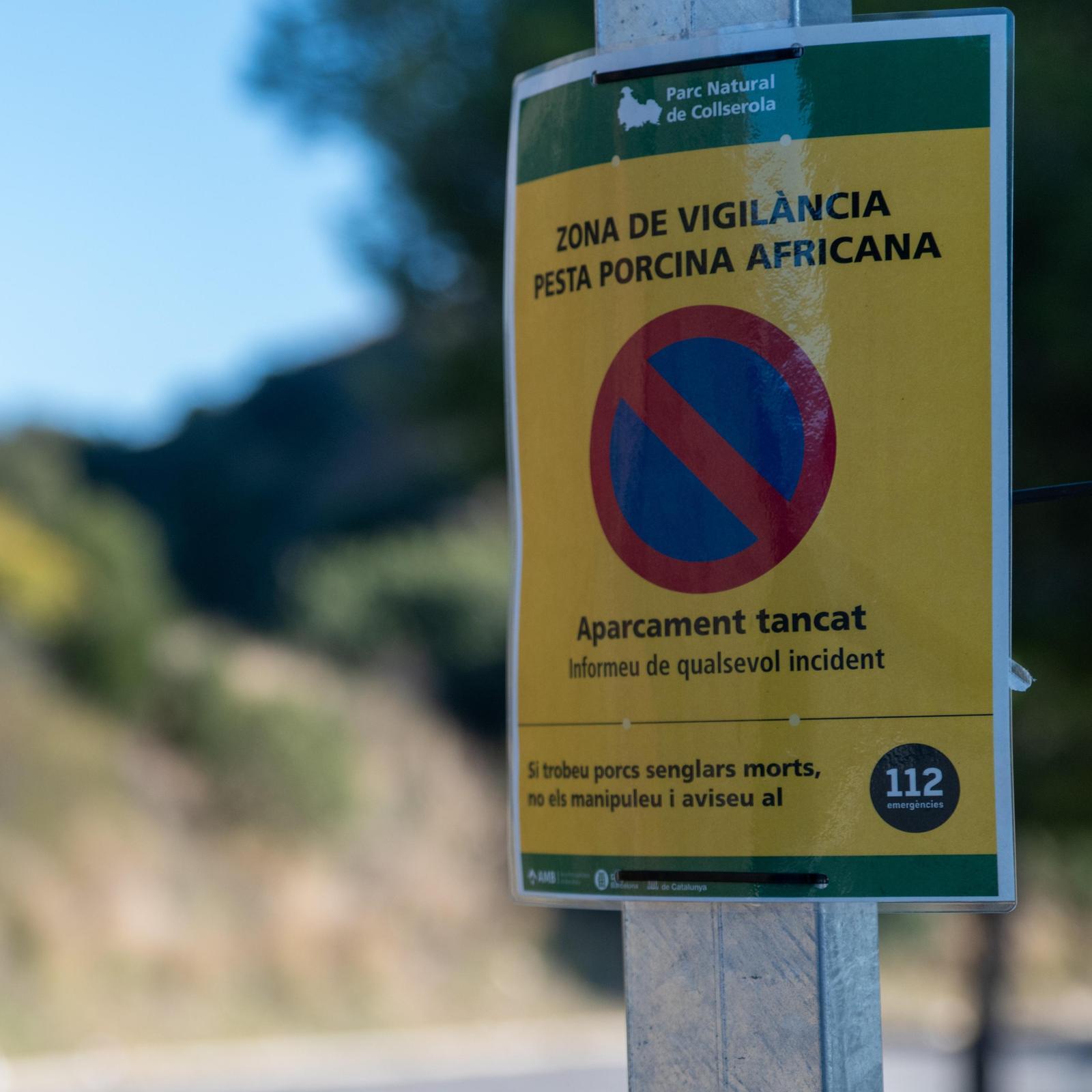 Un cartell a Collserola avisant que és una zona de vigilància de la pesta porcina africana.