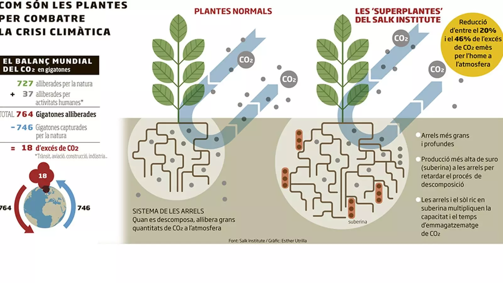 Superplantes que poden salvar el planeta