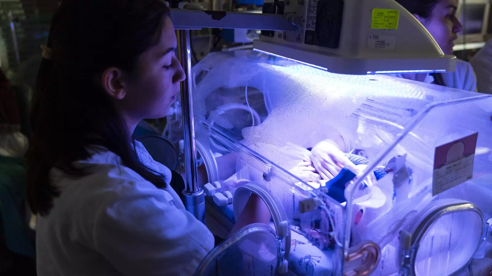 Una infermera visita un dels nadons ingressats a la UCI de Neonatologia de l'Hospital Clínic.