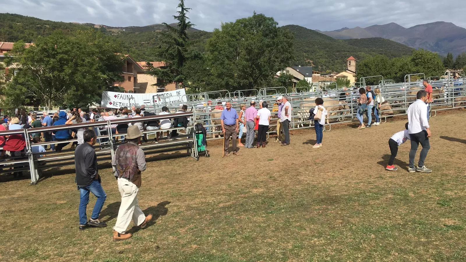 Un moment de la Fira Ramadera de la Pobleta de Bellveí de l'any 2019. / G.L.T.