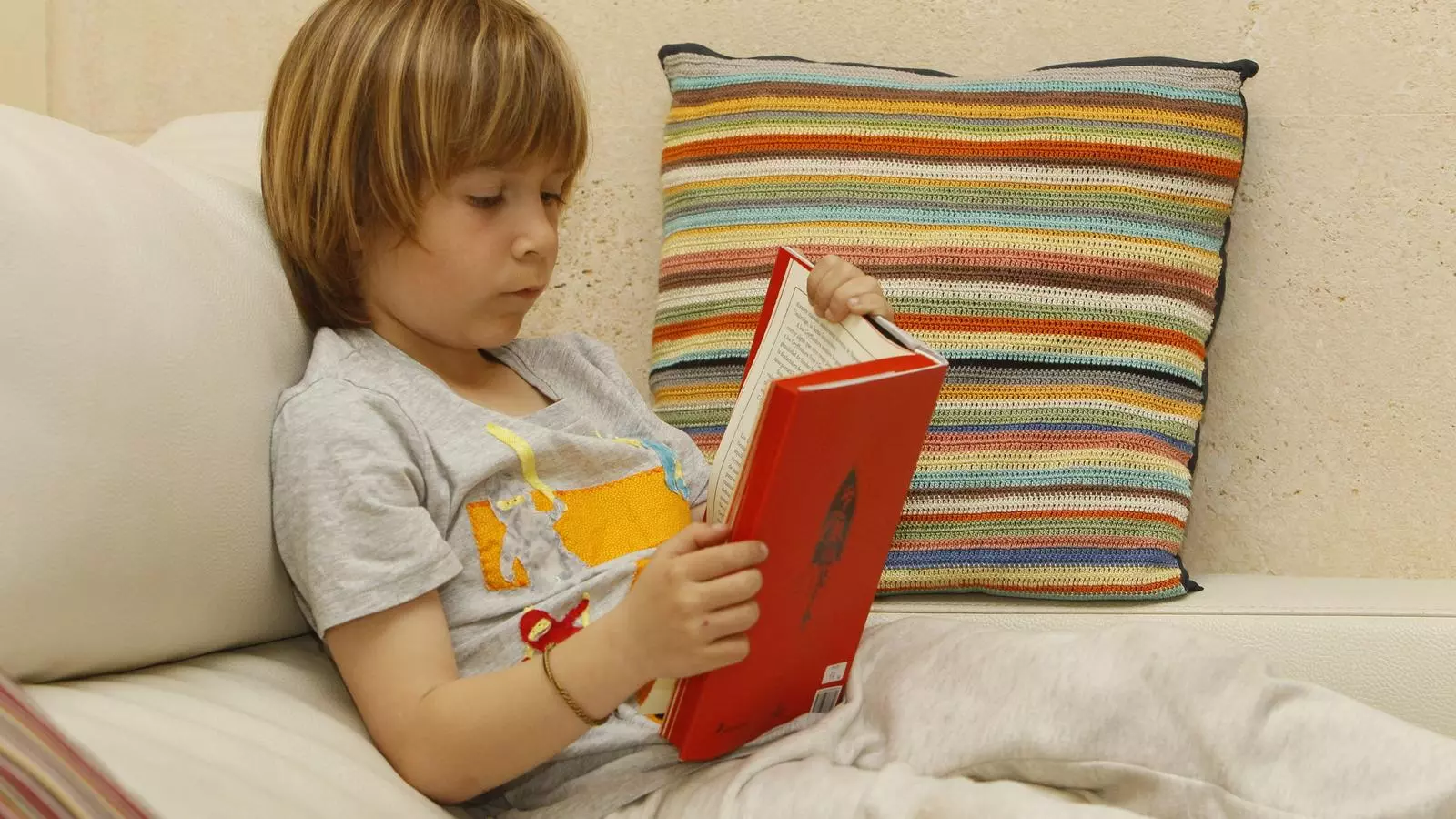 Els llibres i la lectura