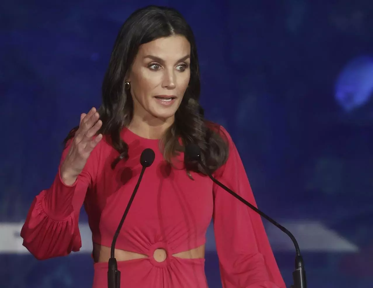 Letícia a l'acte de la Creu Roja de València