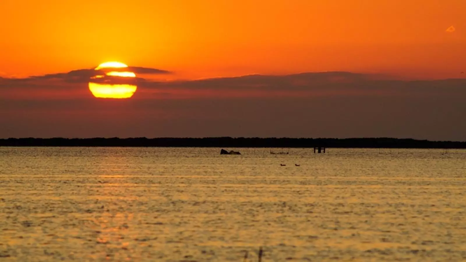 La sortida de sol d'avui des de la Badia del Fangar, al Delta de l'Ebre.