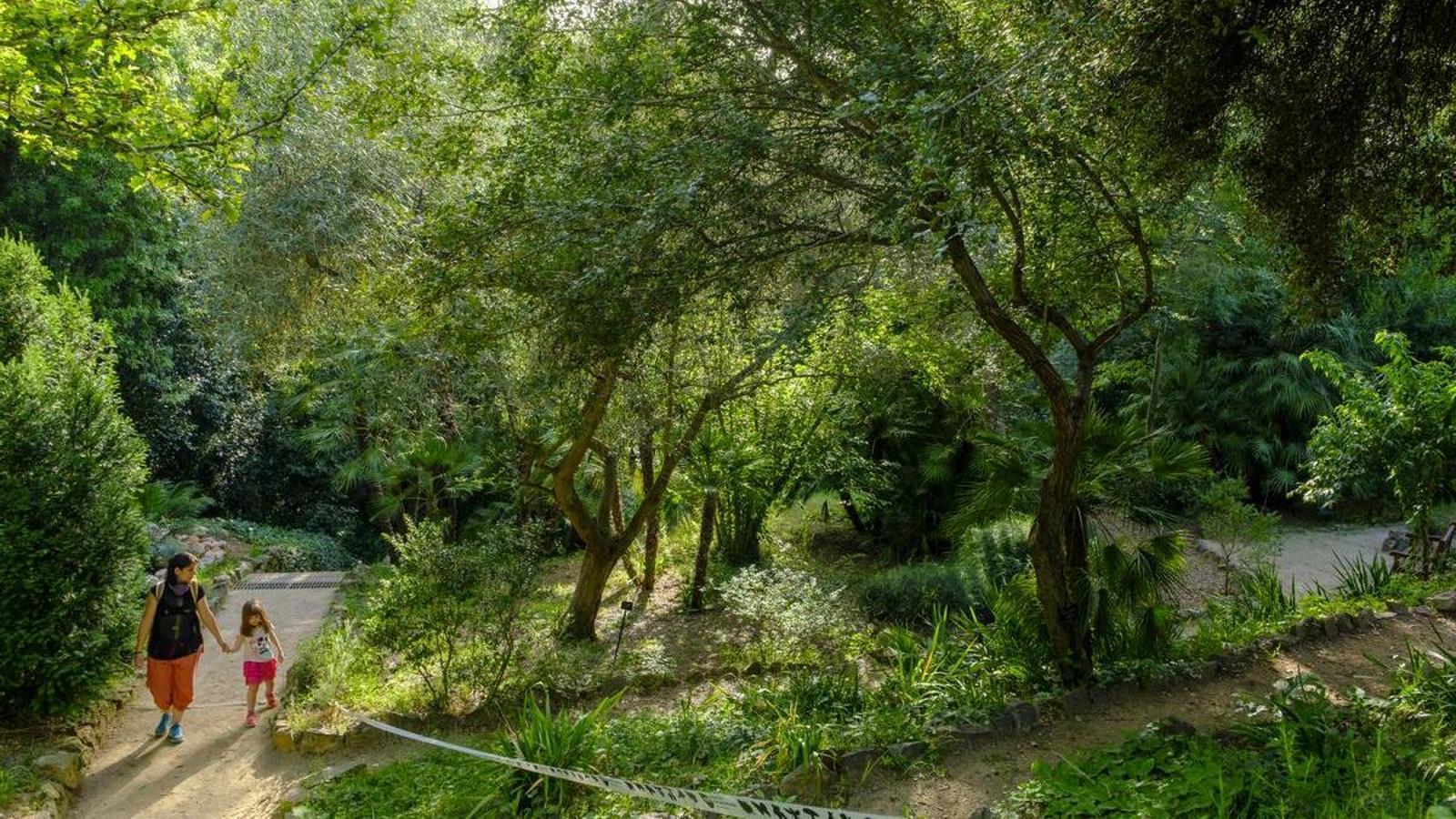 JARDINES CON ENCANTO EL JARDÍN BOTÁNICO HISTÓRICO PARECE UN BOSQUE EN EL CENTRO DE LA CIUDAD