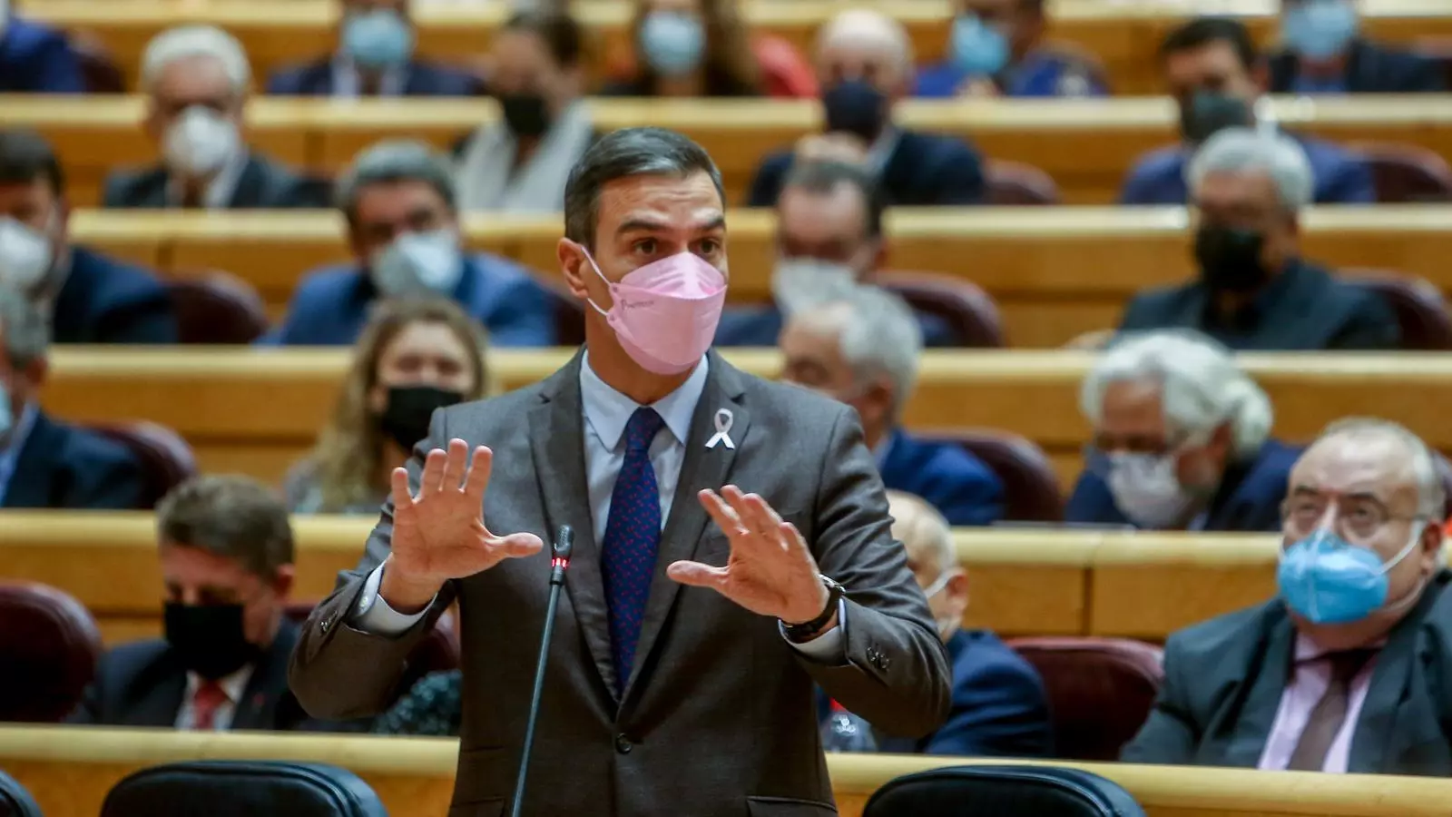 El president de Govern, Pedro Sánchez, intervé en una sessió de control a Govern al Senat