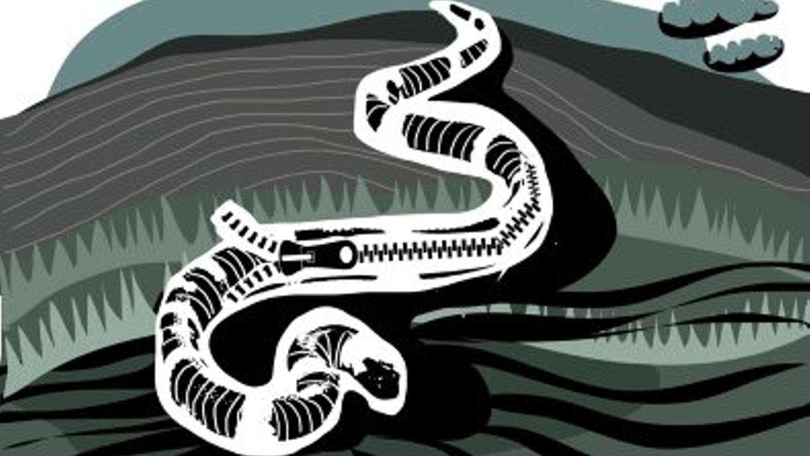 La vella i la nova política