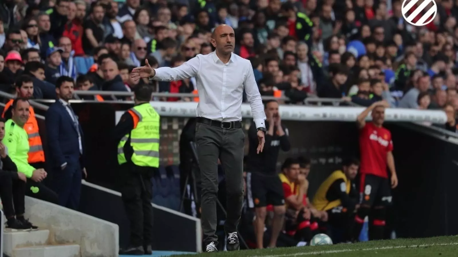 Abelardo Fernández dona indicacions durant el partit contra el Mallorca