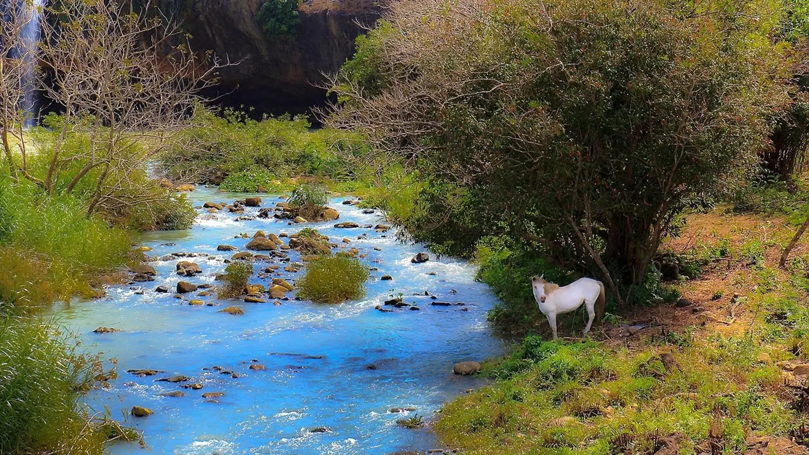 El riu de la memòria, la cascada de la història