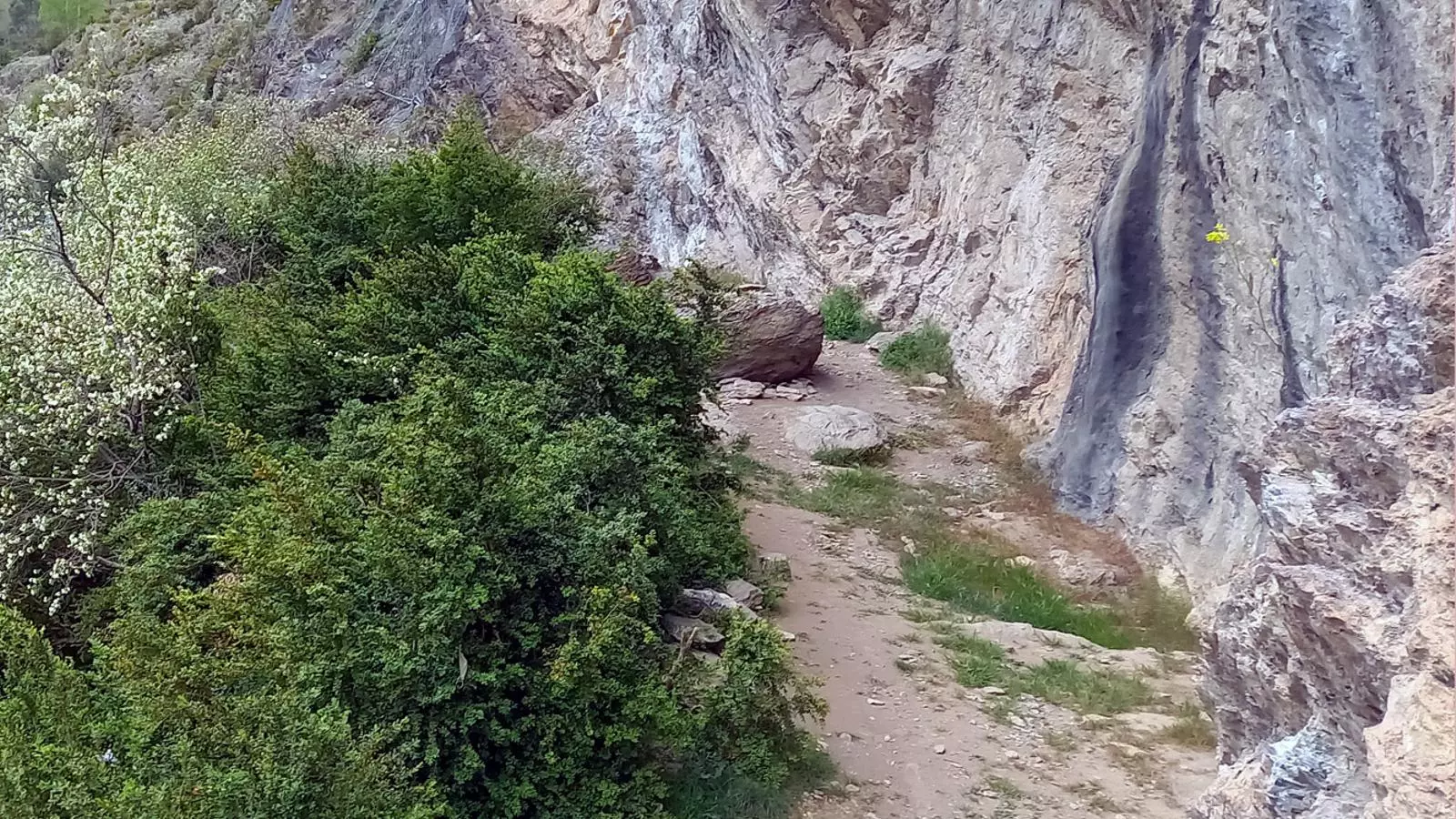La Balma del Llunci.
