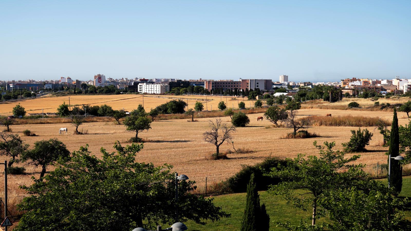 Terrenys propers a la UIB, compresos dins la projecció del parc agrari.