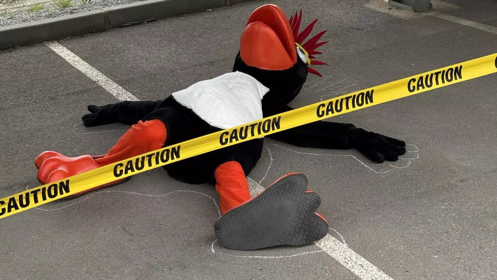 El retorn de Punky, el gelat més viral d'internet