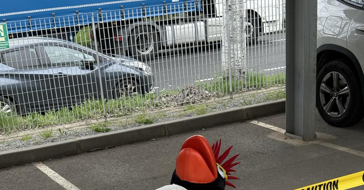 El retorn del gelat més viral d'internet