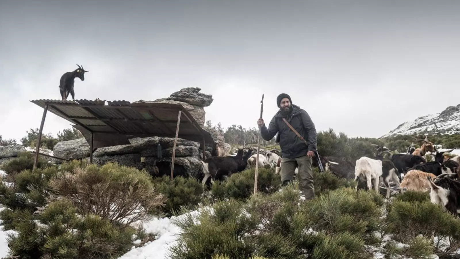 Una escena d'un dels episodis d''Apagón'