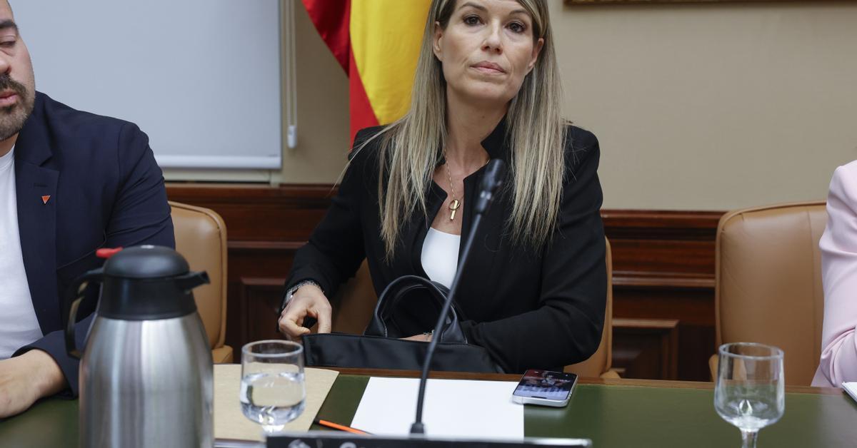 Maribel Vilaplana es nega a respondre cap pregunta en la compareixença al Congrés