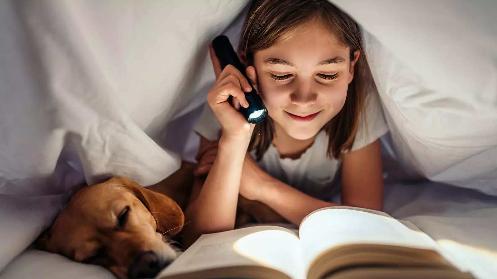 Propostes de lectura per a a canalla.