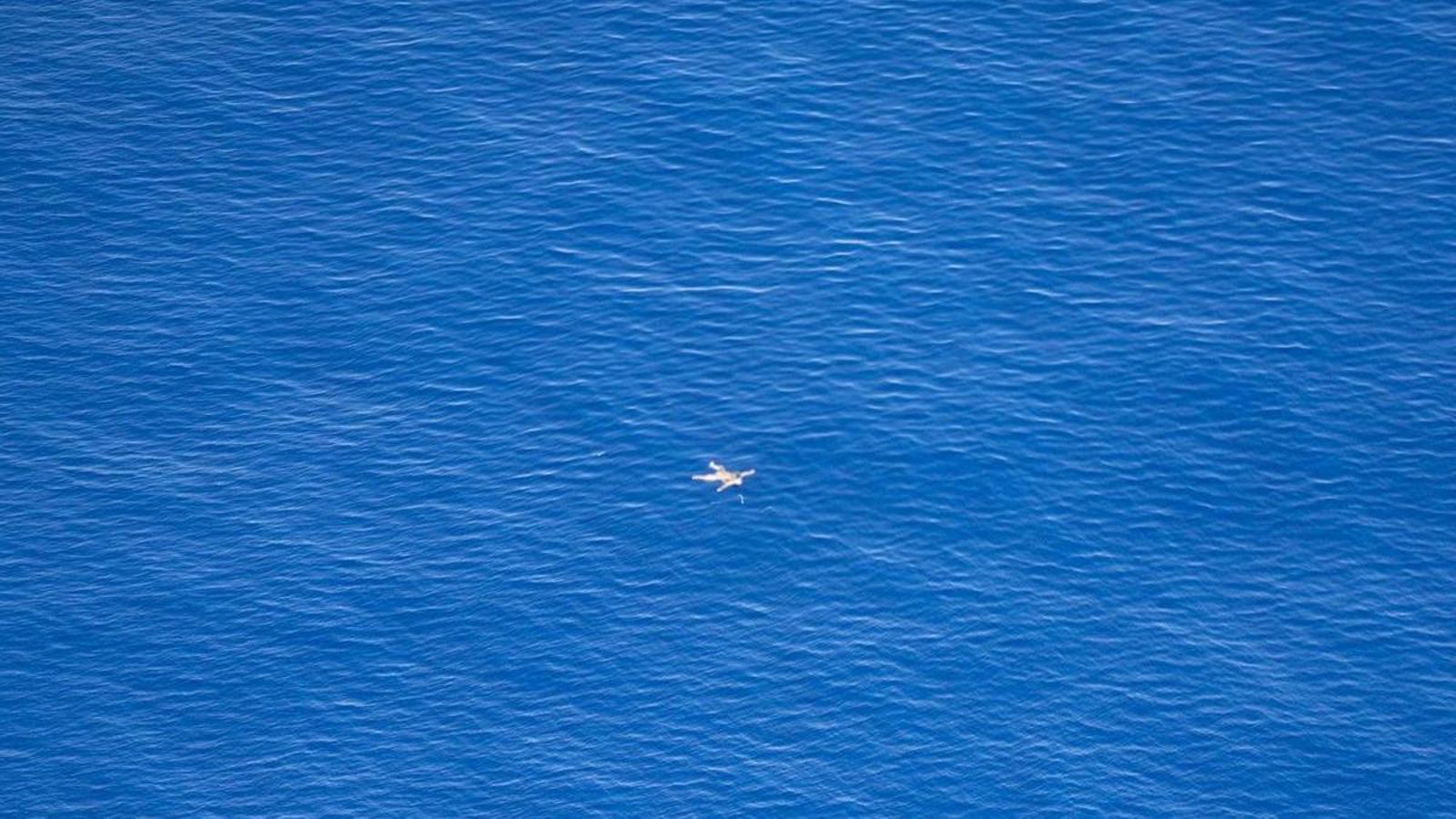 One of the corpses found on August 15 by a Sea-Watch NGO monitoring plane.