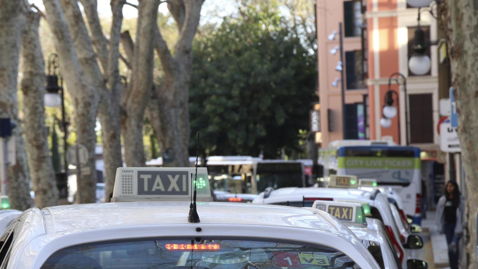 Taxis in Palma.