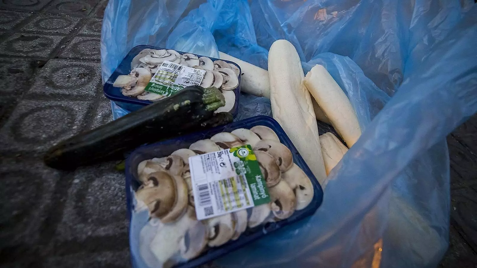 Aliments llençats a la brossa