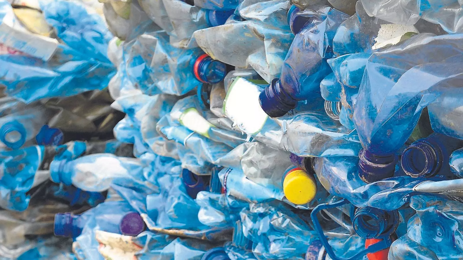 El plàstic de les botelles d’aigua és un dels de millor qualitat per reciclar-lo. / ARXIU