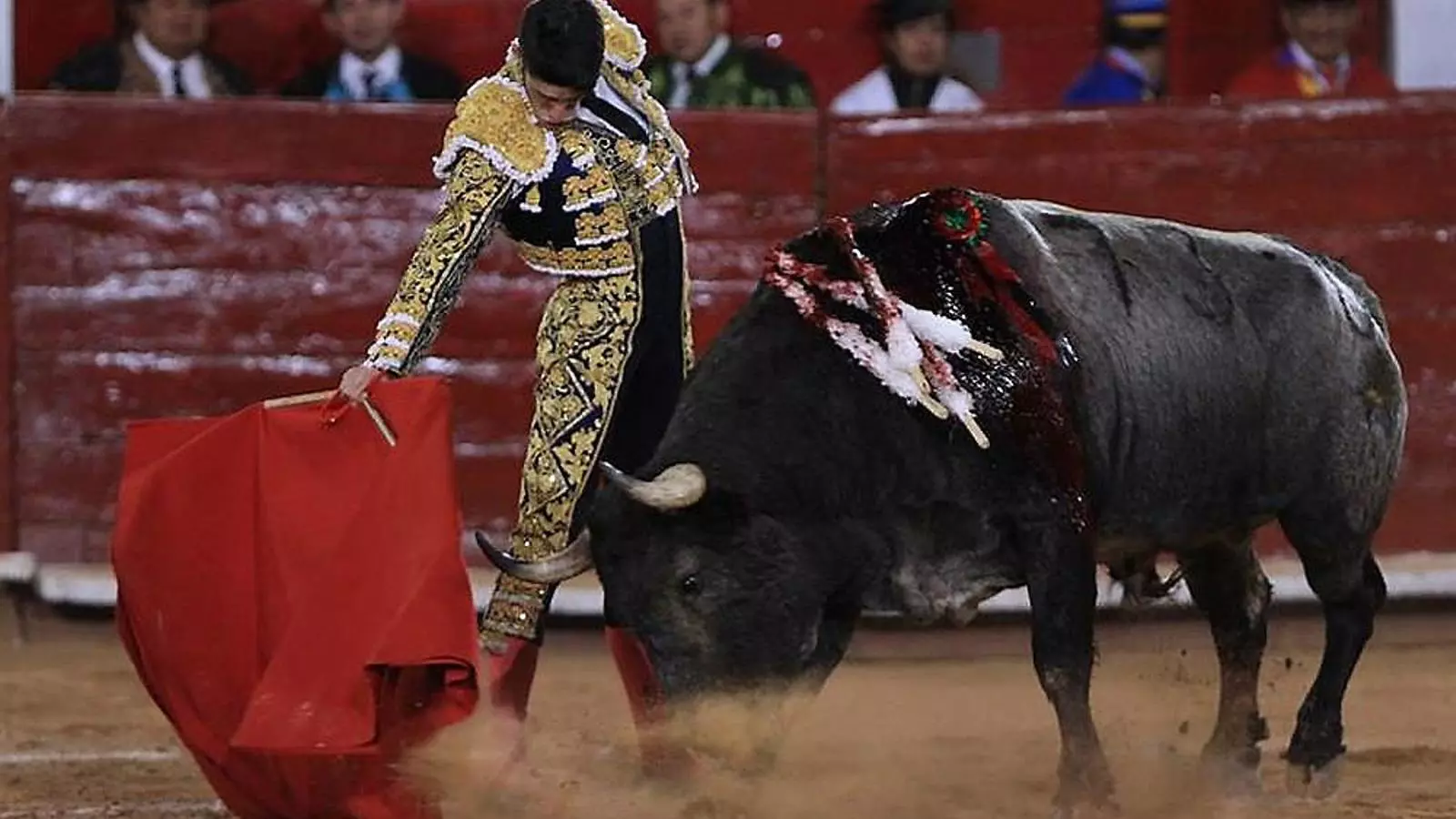 La llei que regula les corregudes de toros a les Balears va aprovar-se fa unes setmanes, amb l’ombra del Constitucional damunt.