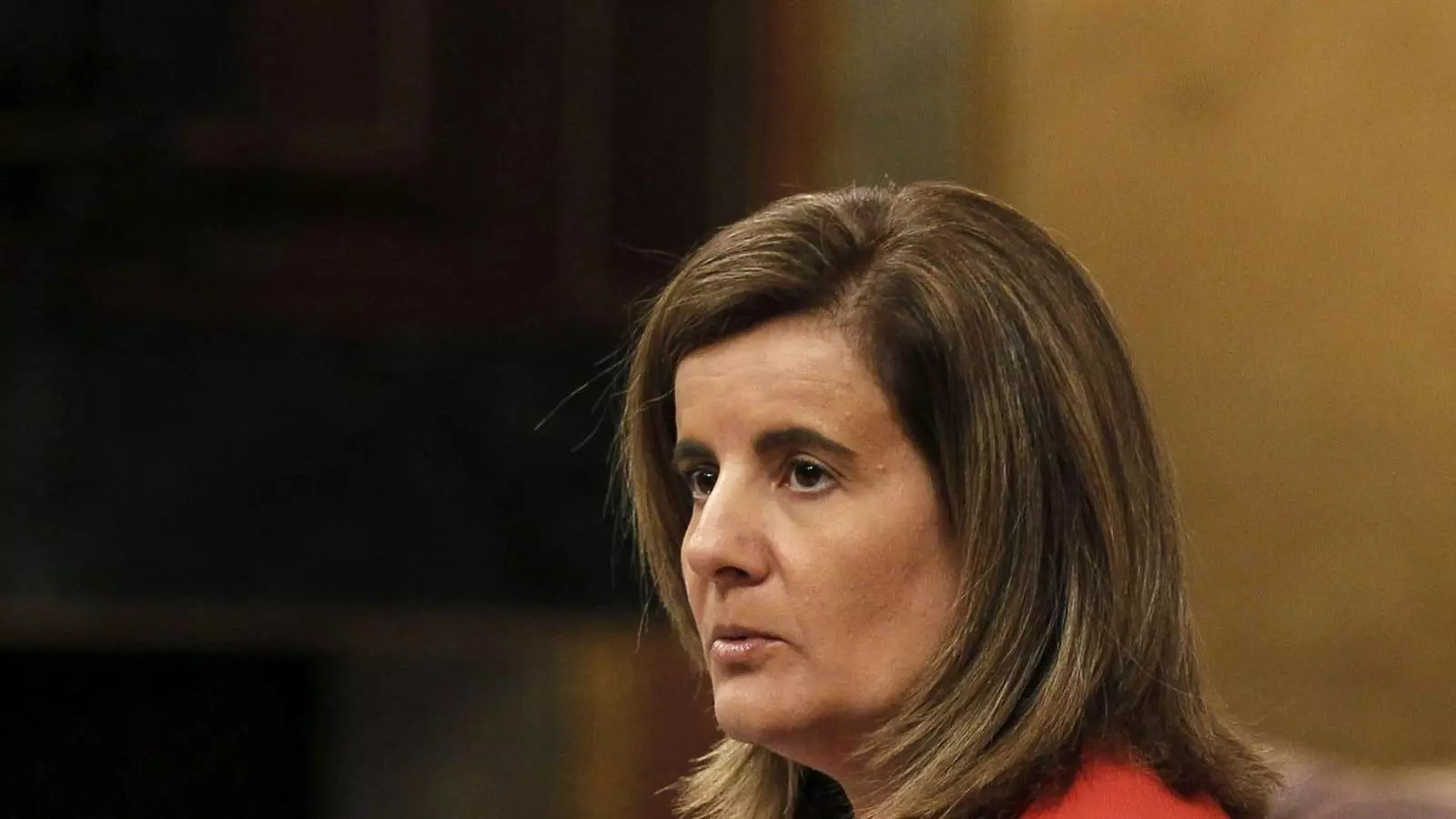 La ministra de Treball, Fátima Báñez, va dir ahir que fa dos mesos que treballen en el pla.