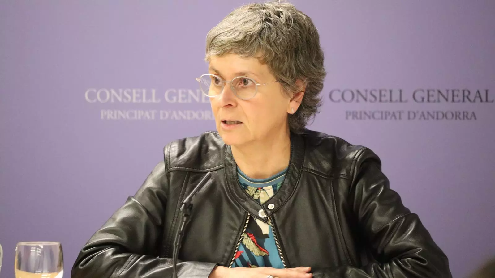 La consellera general socialdemòcrata, Susanna Vela.