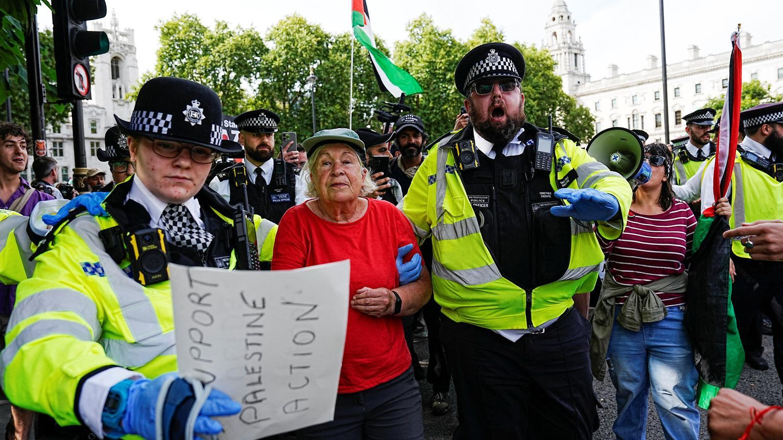 London police arrest a protester supporting Palestine Action.