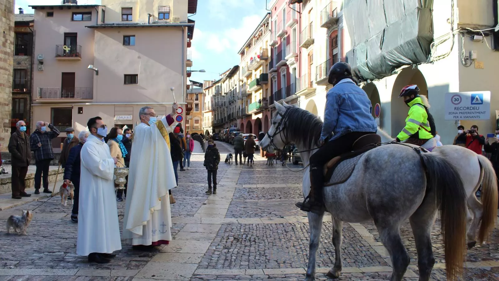 Benedicció dels animals per Sant Antoni Abat, a la Seu d'Urgell. / AJ. LA SEU