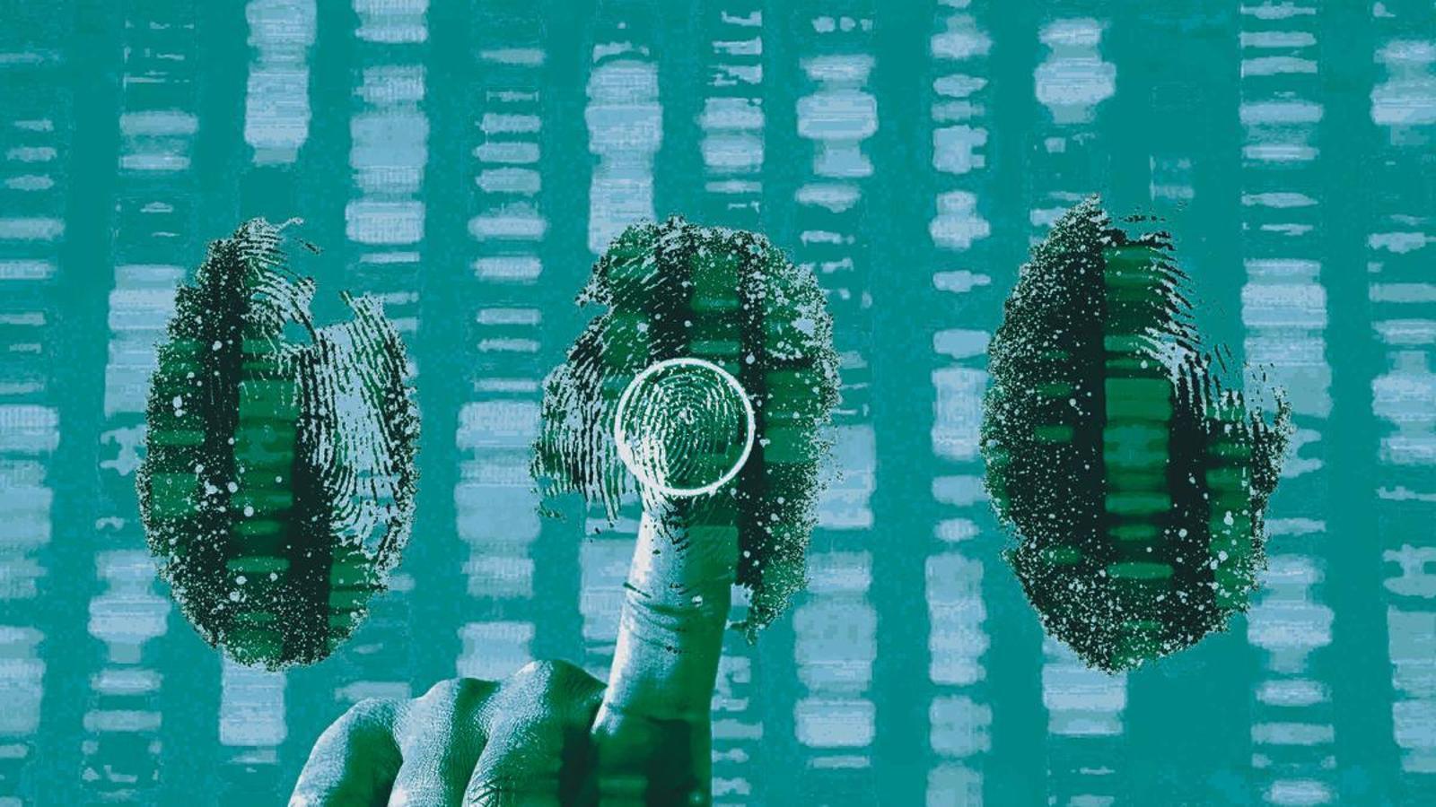 Human genome