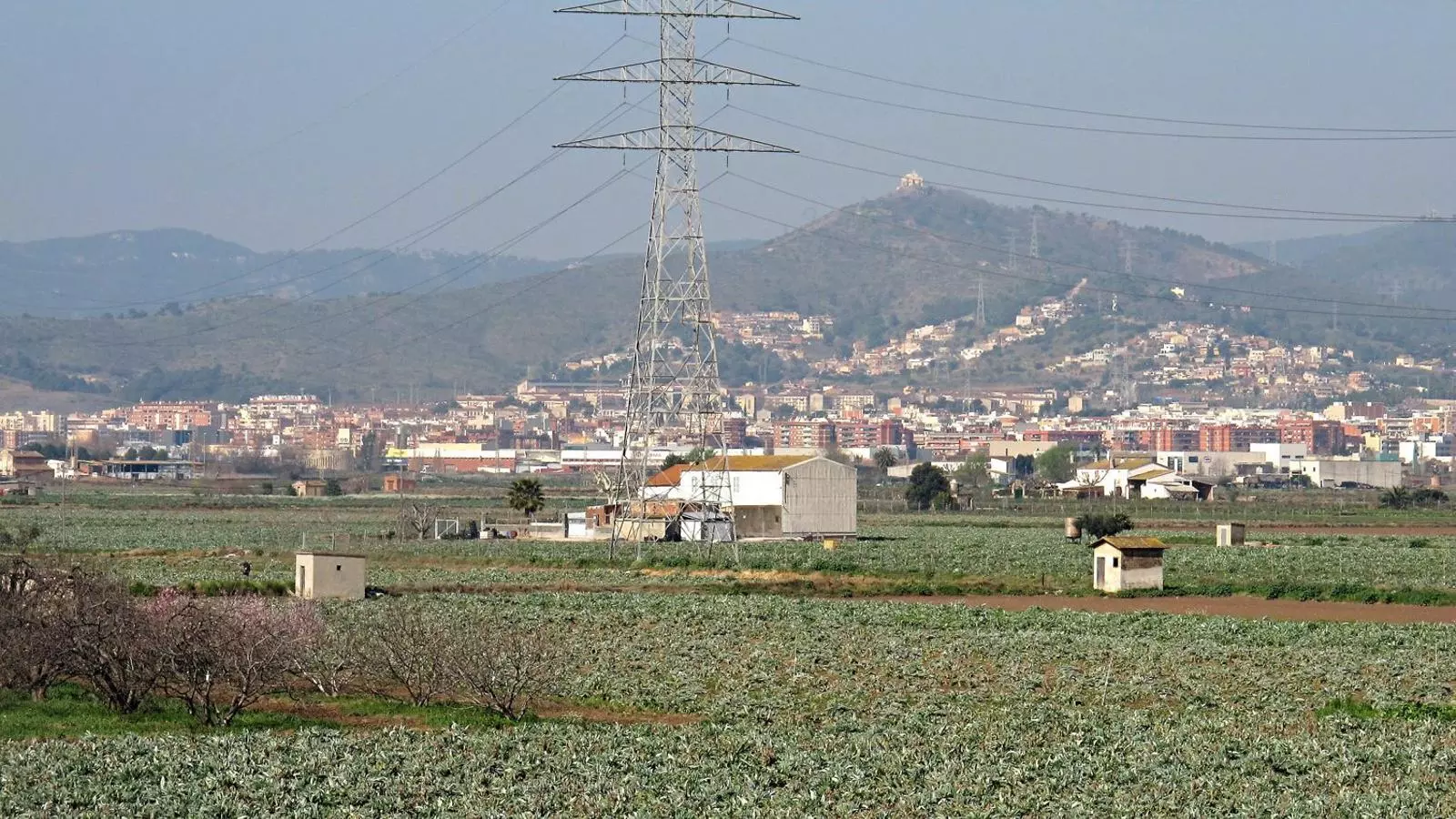 Cops de colze per fer de pagès al Parc Agrari del Baix Llobregat