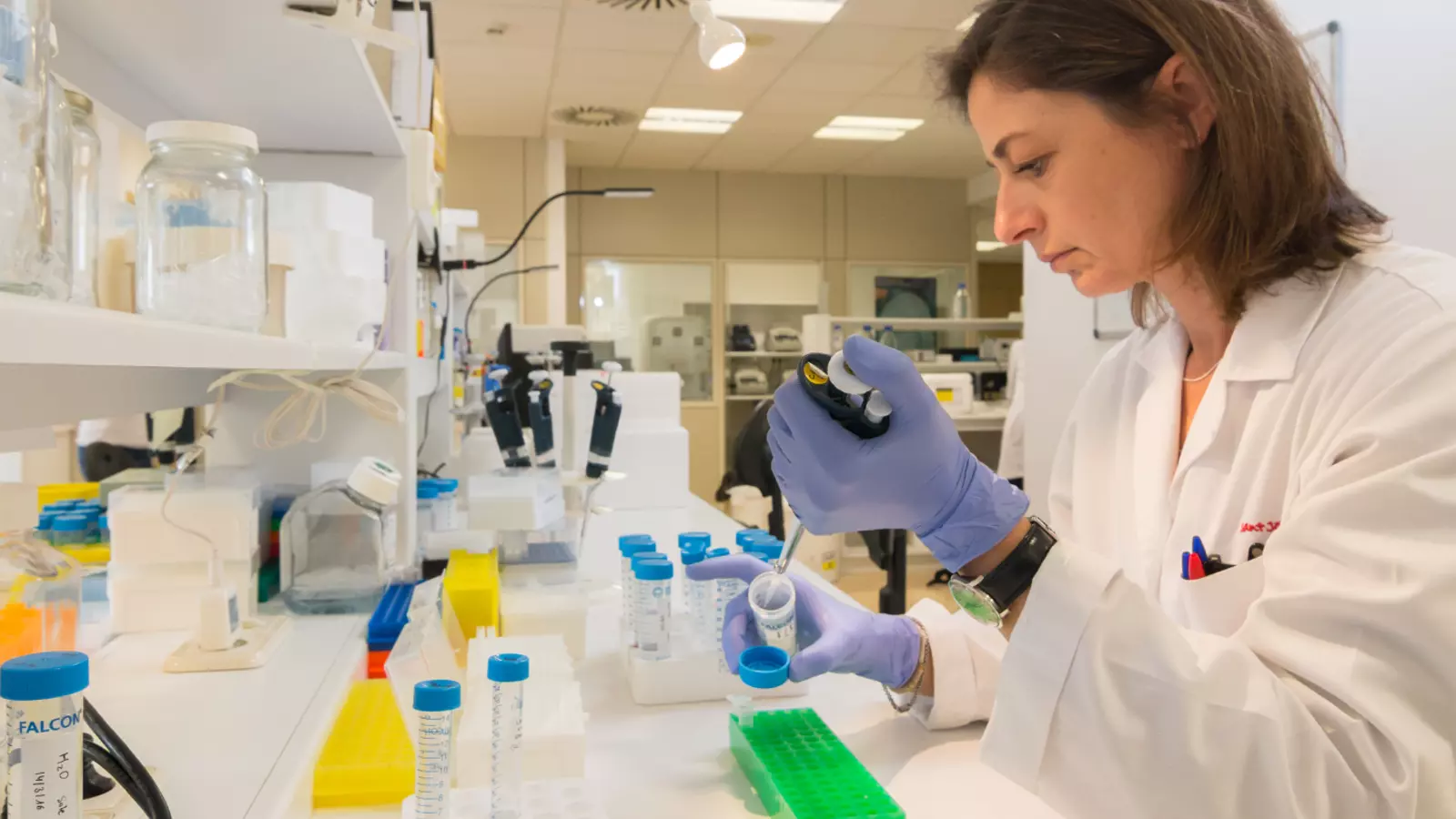 Una imatge del laboratori