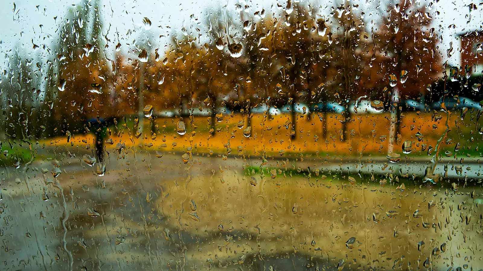La pluja a Vic, aquest migdia