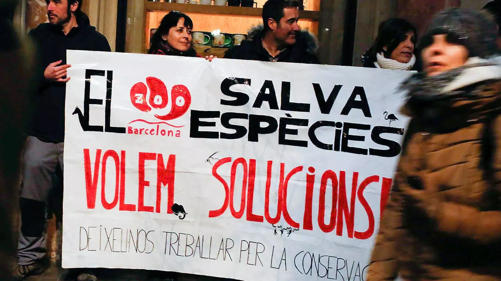 La reproducció d’animals al Zoo divideix Colau i treballadors