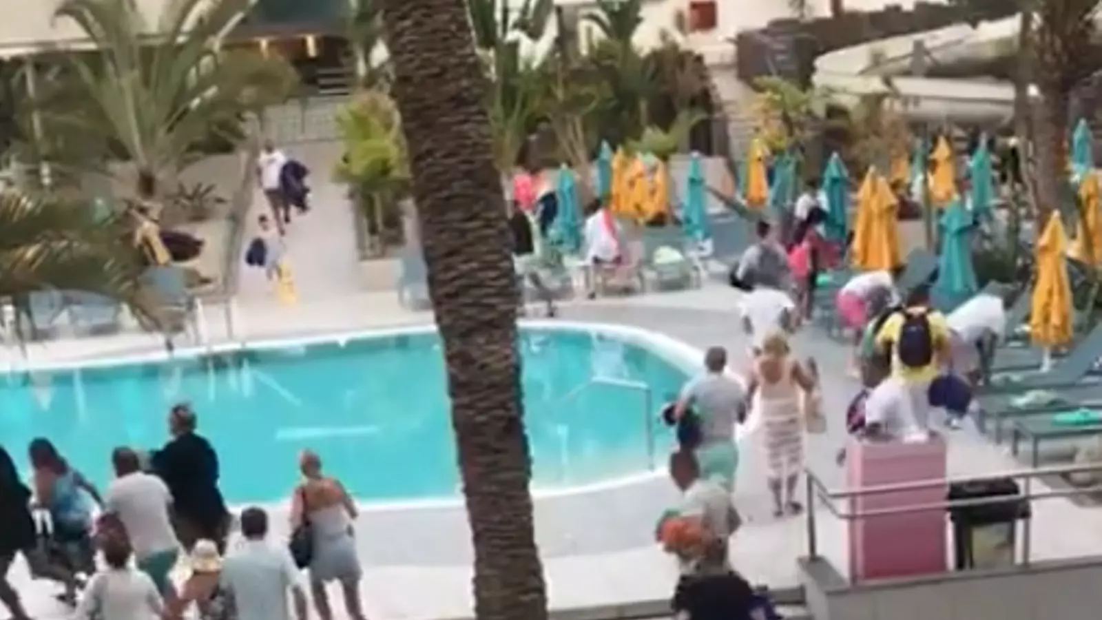 Baralla per les gandules a un hotel a Tenerife
