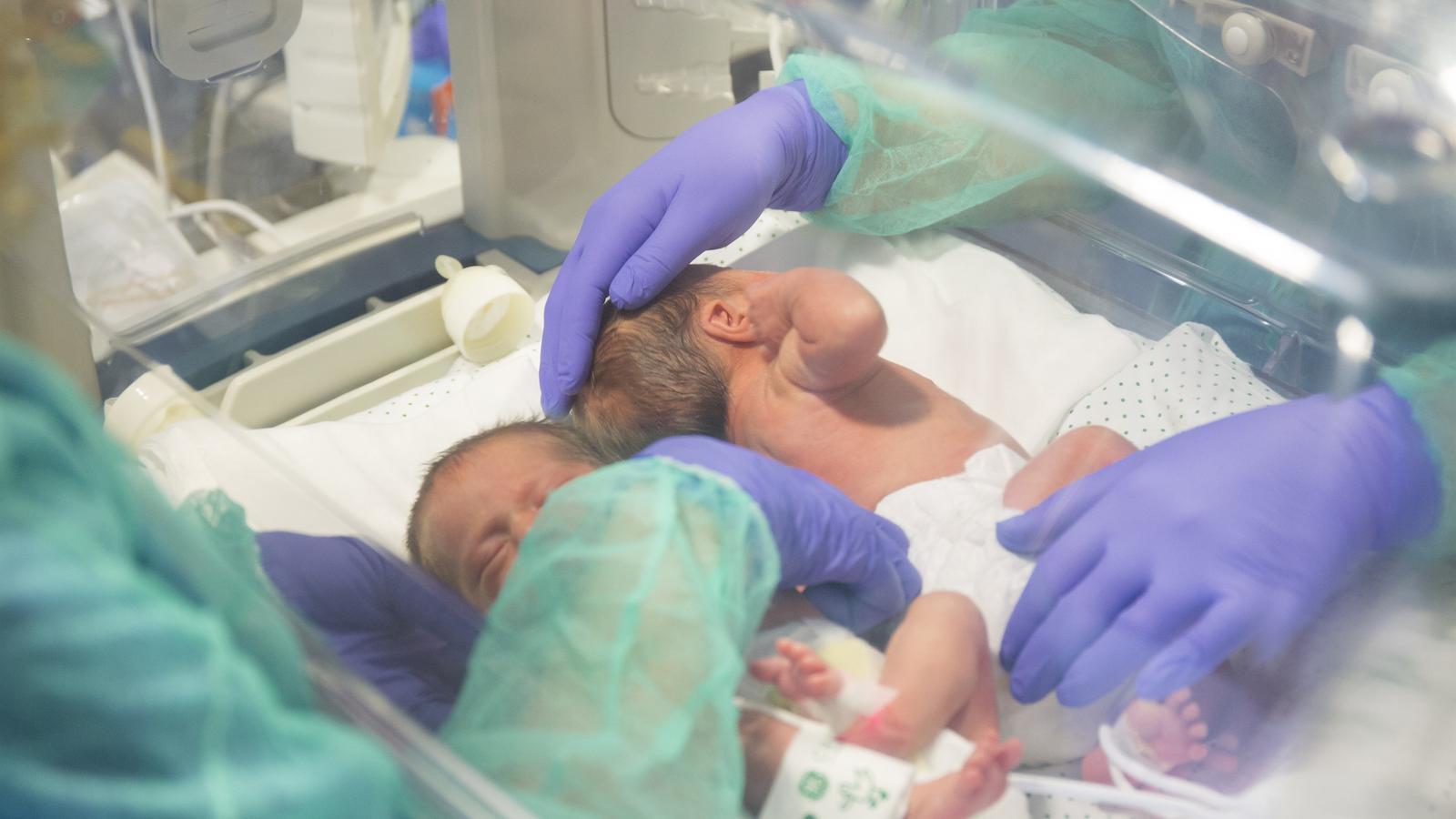 Newborns inside an incubator