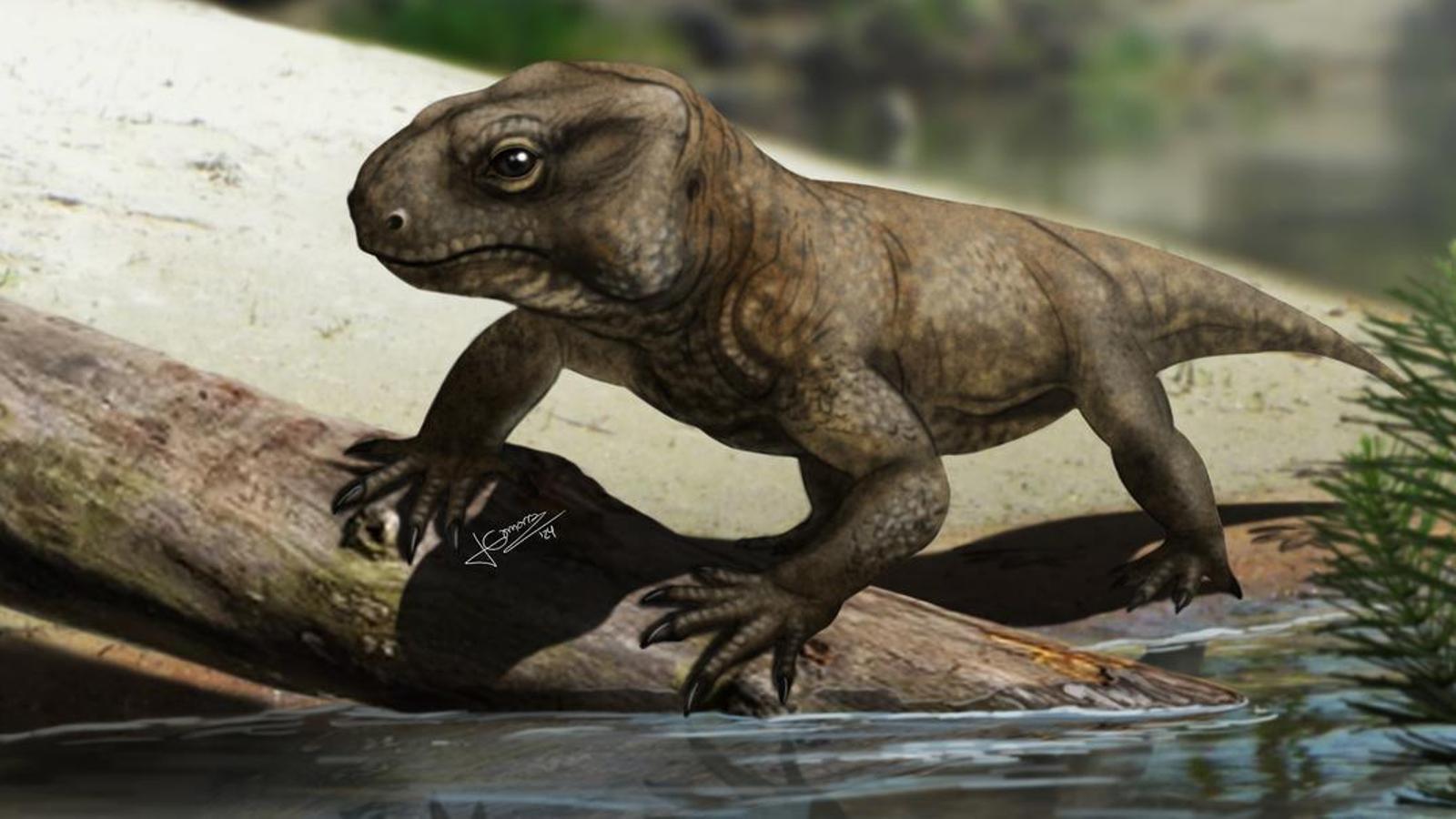 Recreación del 'Kapas signus', que habitó el Montseny.