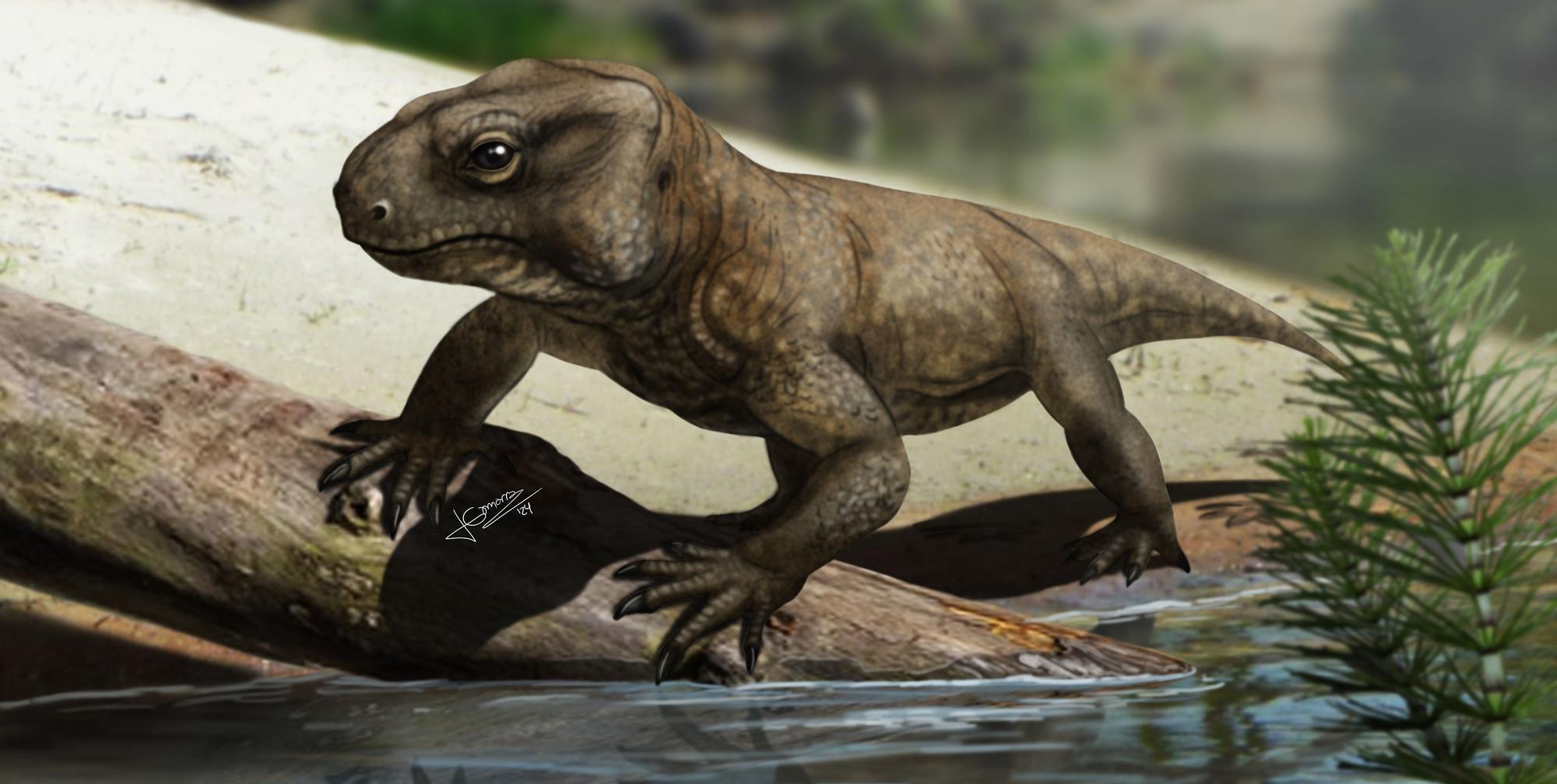 Recreació del 'Kapes signus', que va habitar el Montseny.