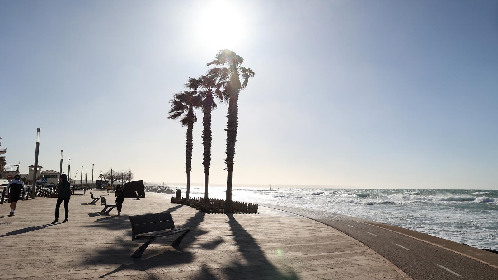 El passeig del Molinar a Palma