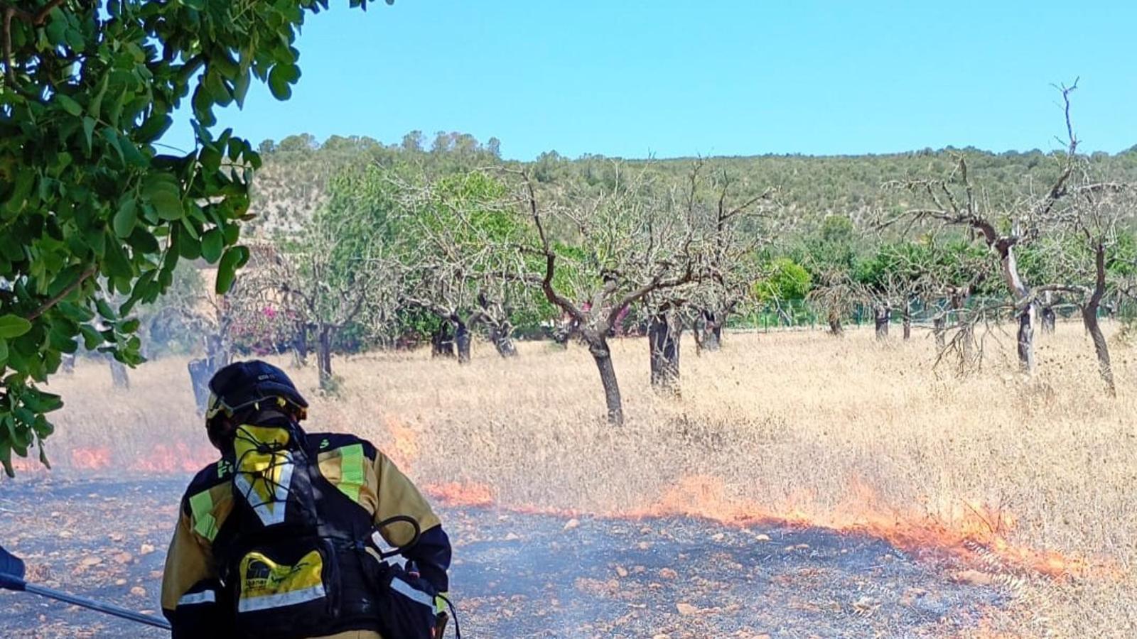 Landwirtschaftlicher Brand in Inca