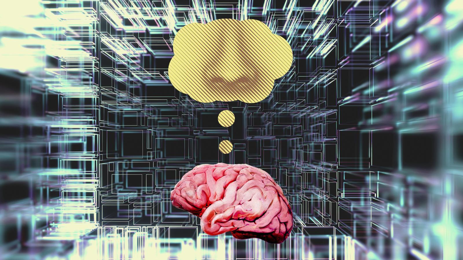 No es la nariz, es el cerebro