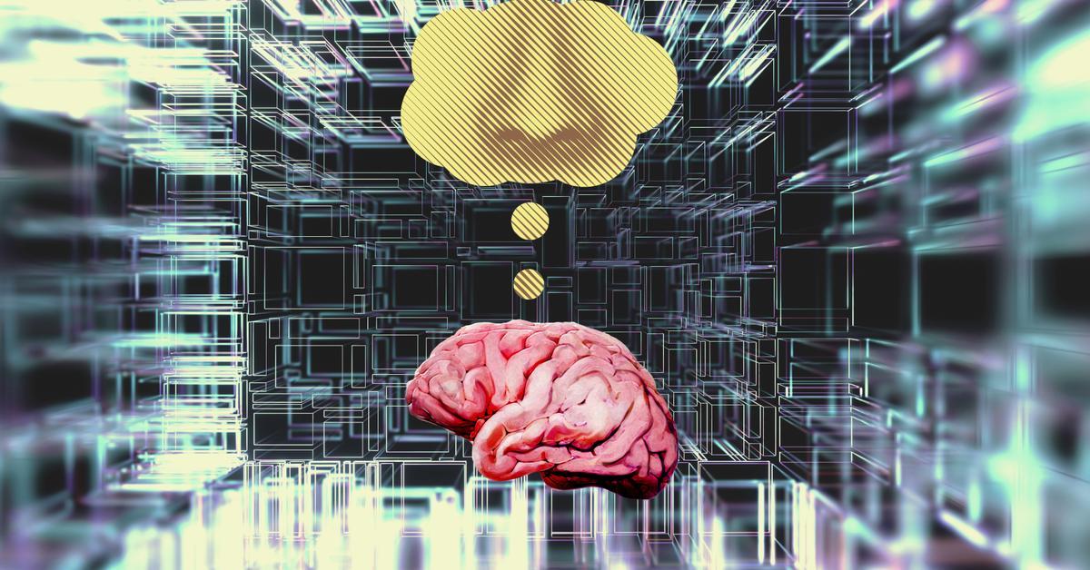 El sentit de l’olfacte és, probablement, el més desconegut i fascinant. És la porta als records i a les emocions i, malgrat això, no el valorem com es mereix

No és el nas, és el cervell