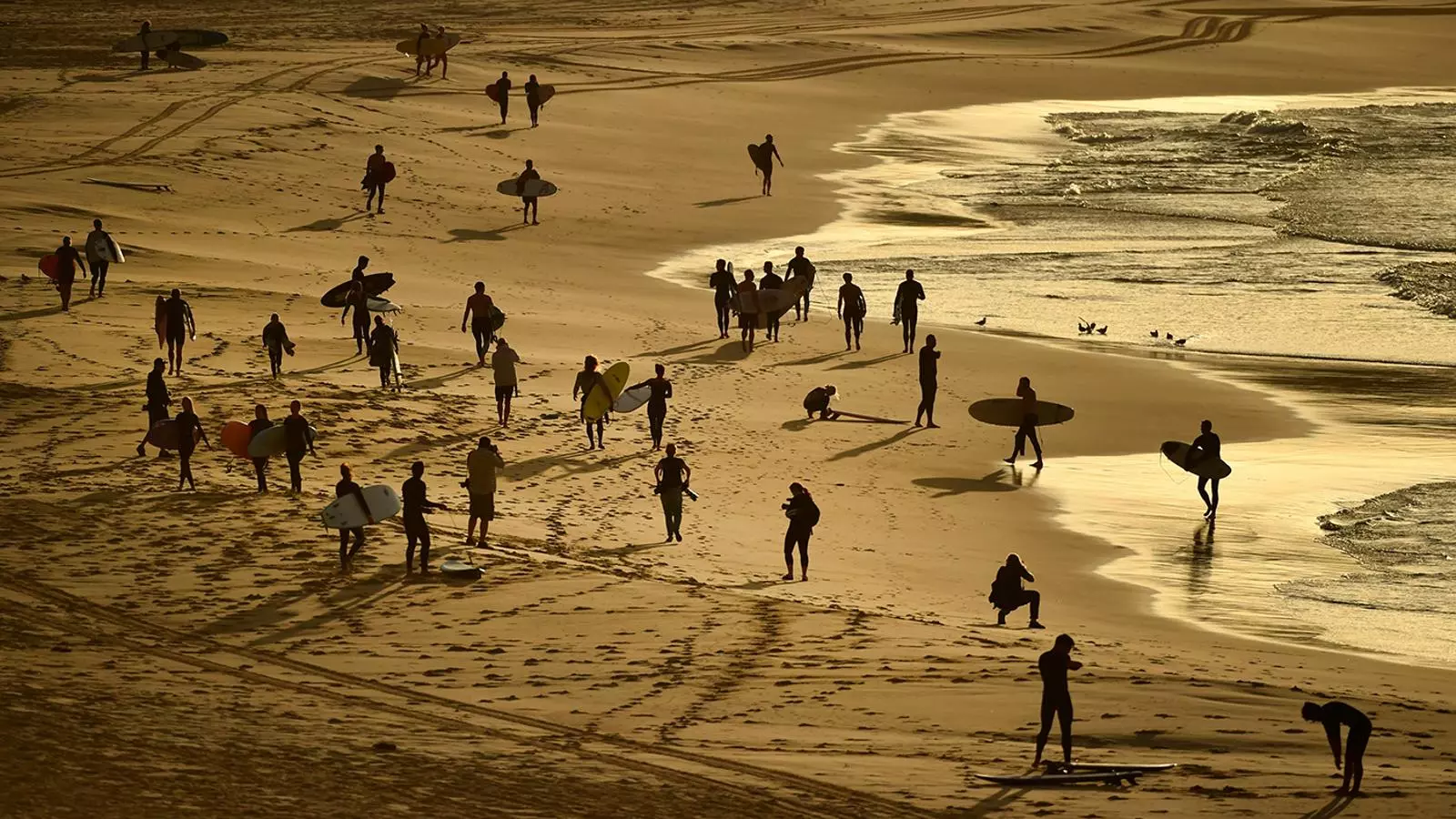 Surfistes el primer dia que han obert al públic algunes platges de Sidney, Austràlia
