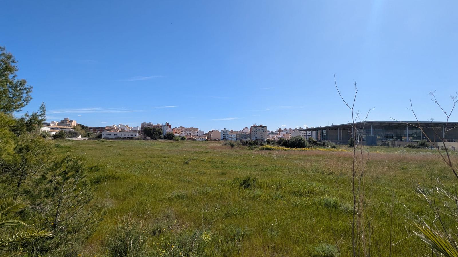 Los terrenos al lado del velódromo Palma Arena donde se construirán las 323 viviendas públicas.