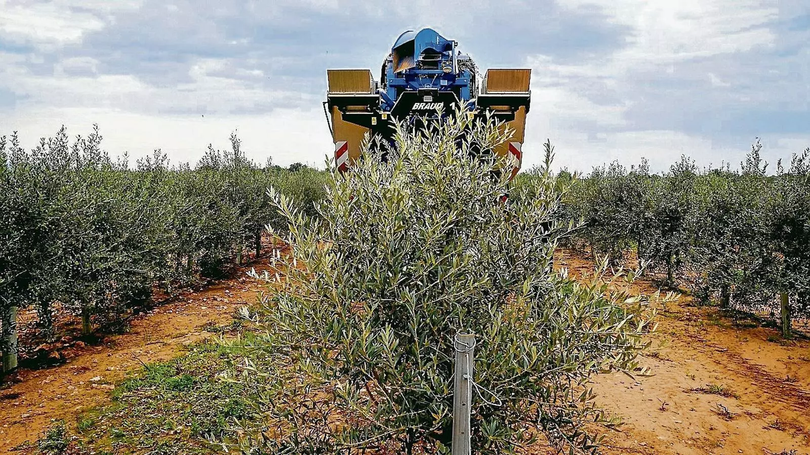 La rendibilitat de l’agricultura