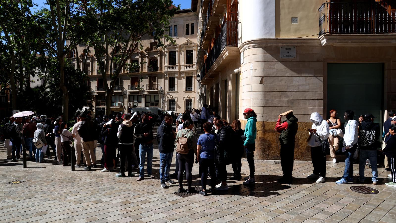 Colas en Cort tras la aprobación de la regularización extraordinaria