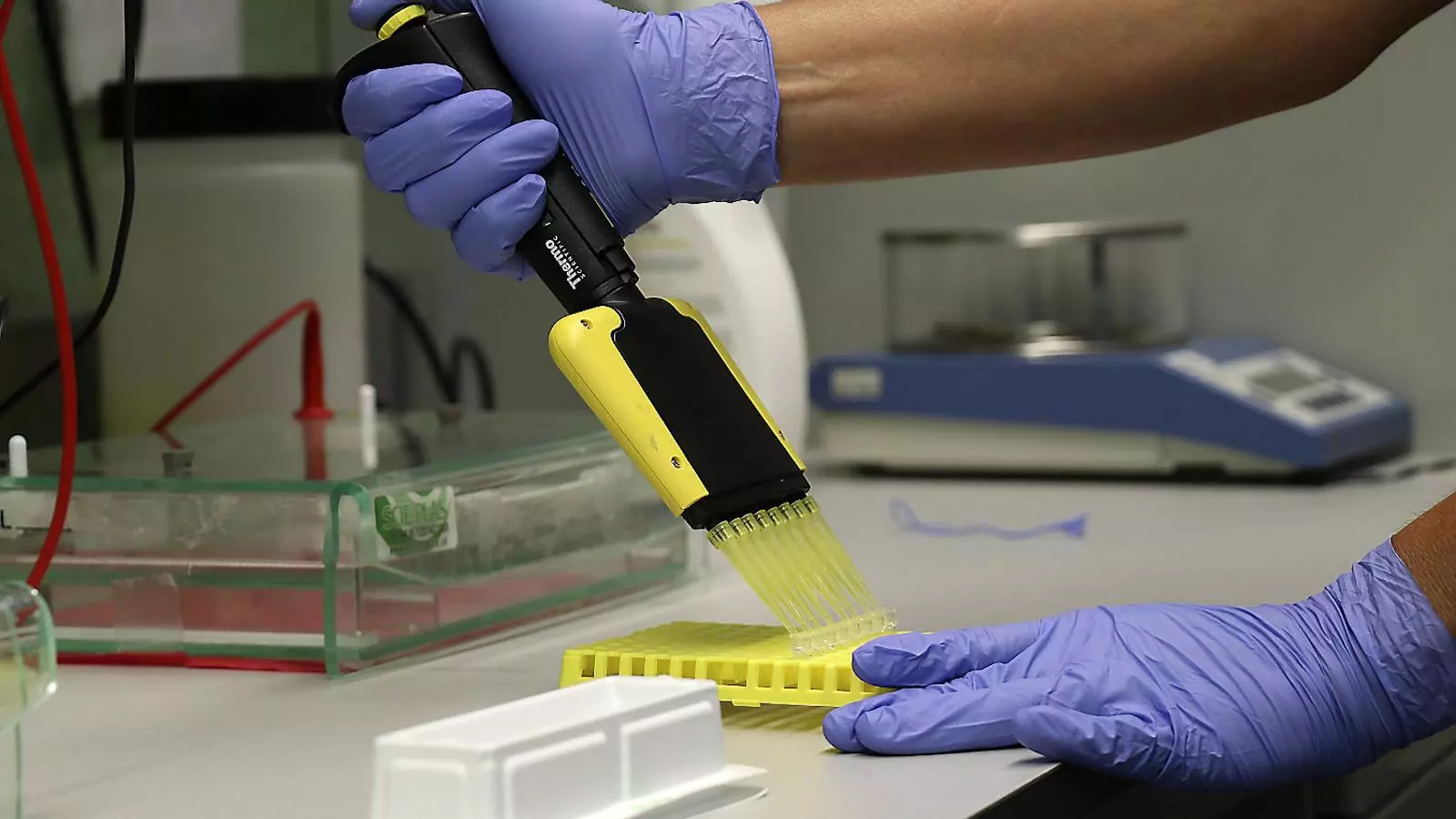 El Govern ignora la proposta del clúster de biotecnologia per impulsar el sector