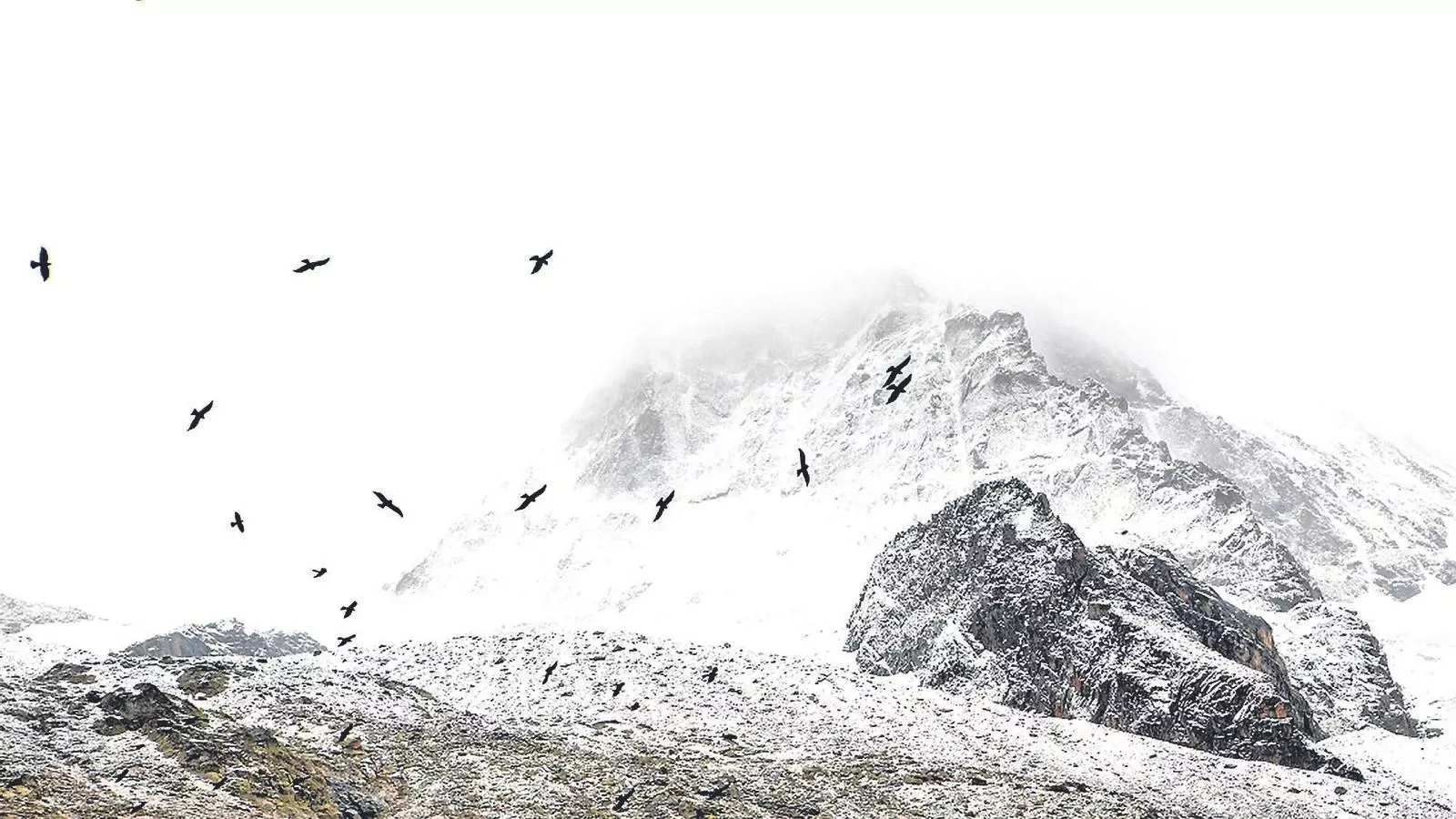 Una mostra per aprendre a estimar l’entorn i la natura