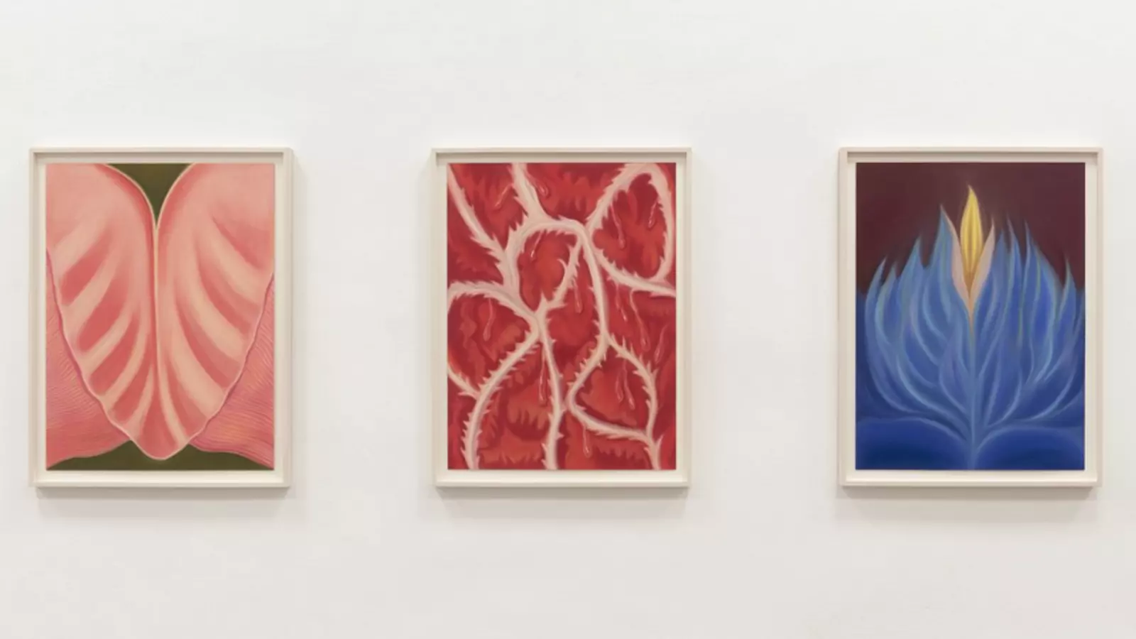 Obres de Sara Bonache