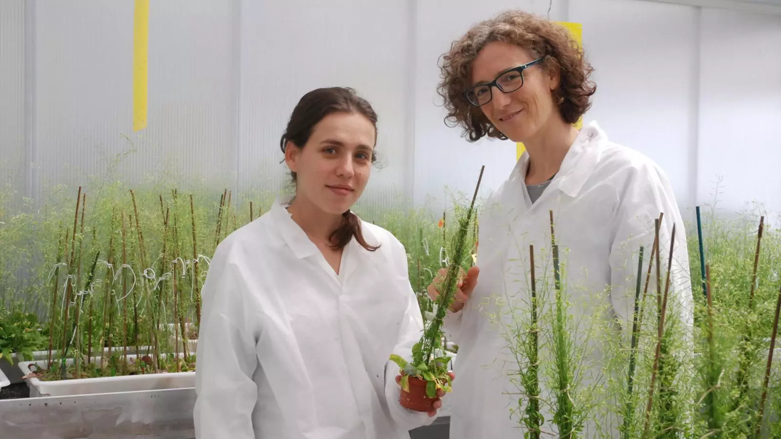 Les investigadores Guiomar Martín i Elena Monte, del Centre de Recerca en Agrigenòmica